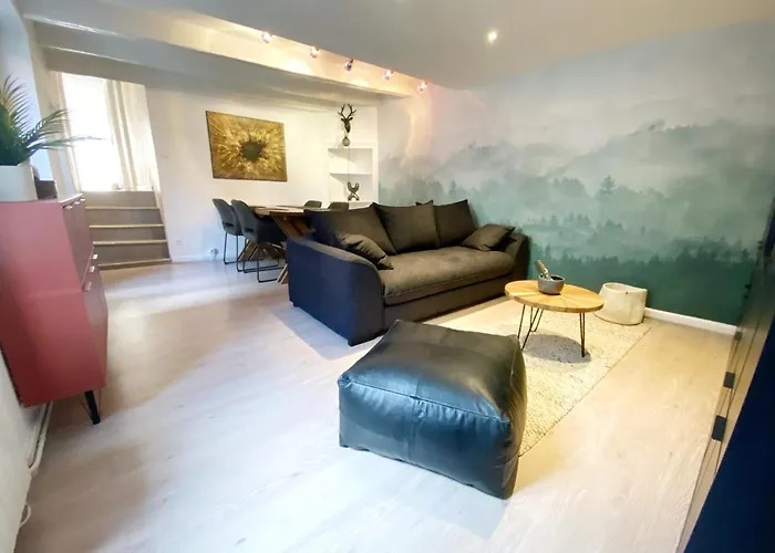Esprit Nomad - Appartement Rue Pietonne Proche Lac